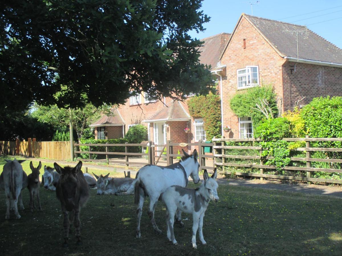 Hops Main House, Brockenhurst, New Forest Villa Екстериор снимка