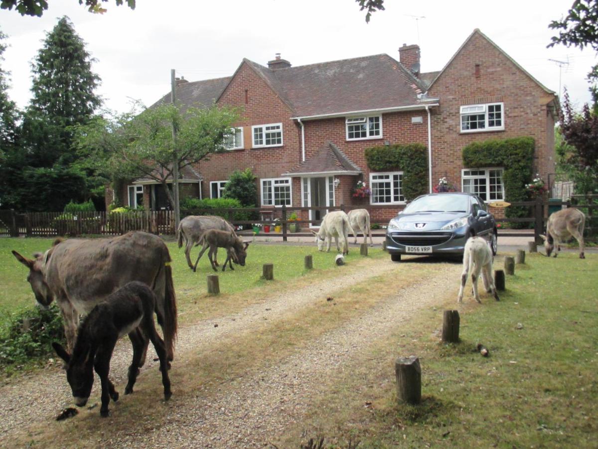 Hops Main House, Brockenhurst, New Forest Villa Екстериор снимка
